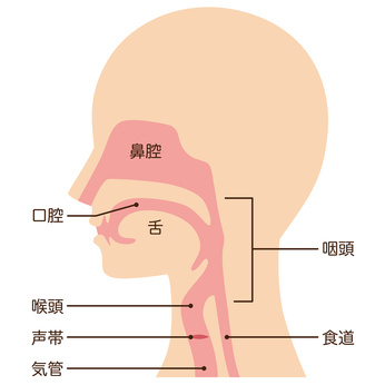 のどの病気 扁桃炎 咽頭炎 西宮市や芦屋市のくらかわ整形外科 耳鼻咽喉科